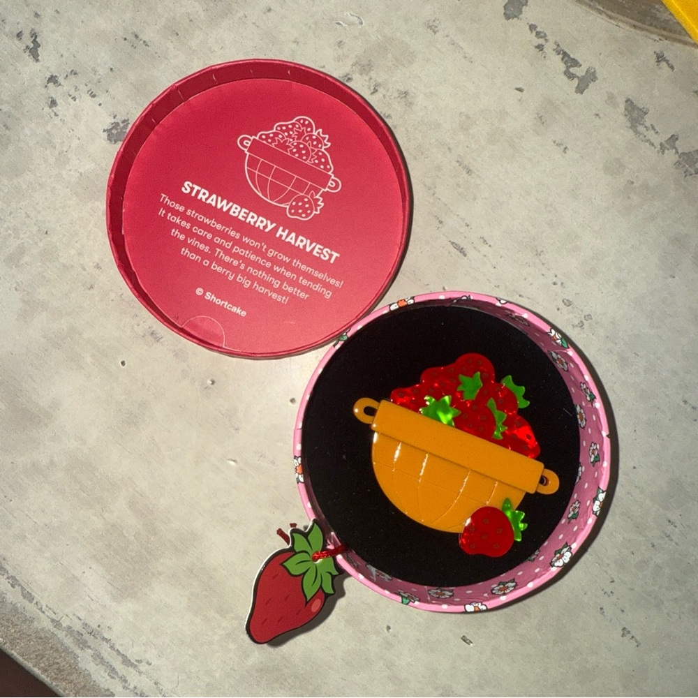 New Erstwilder Strawberry Shortcake Brooch Strawberry Harvest Bonus